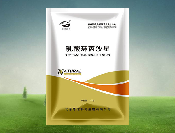 乳酸环丙沙星