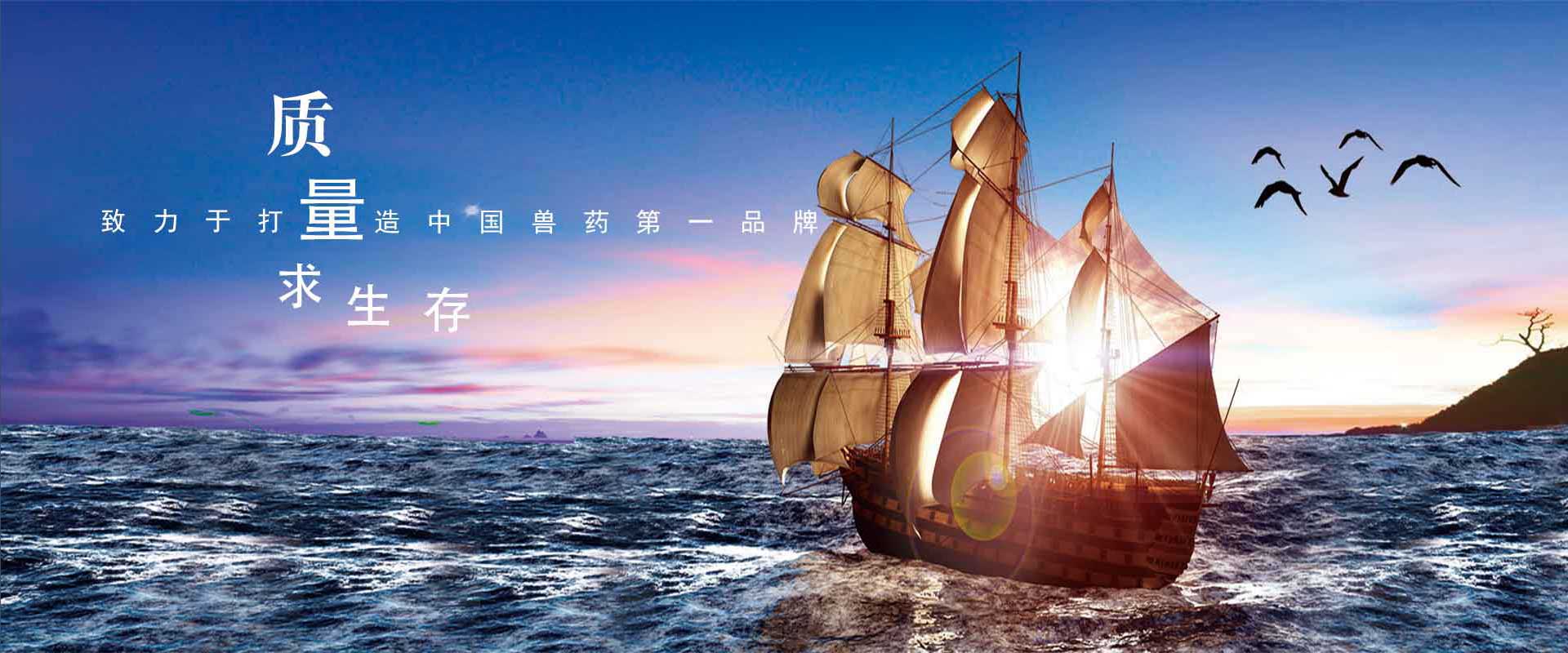 幻灯1